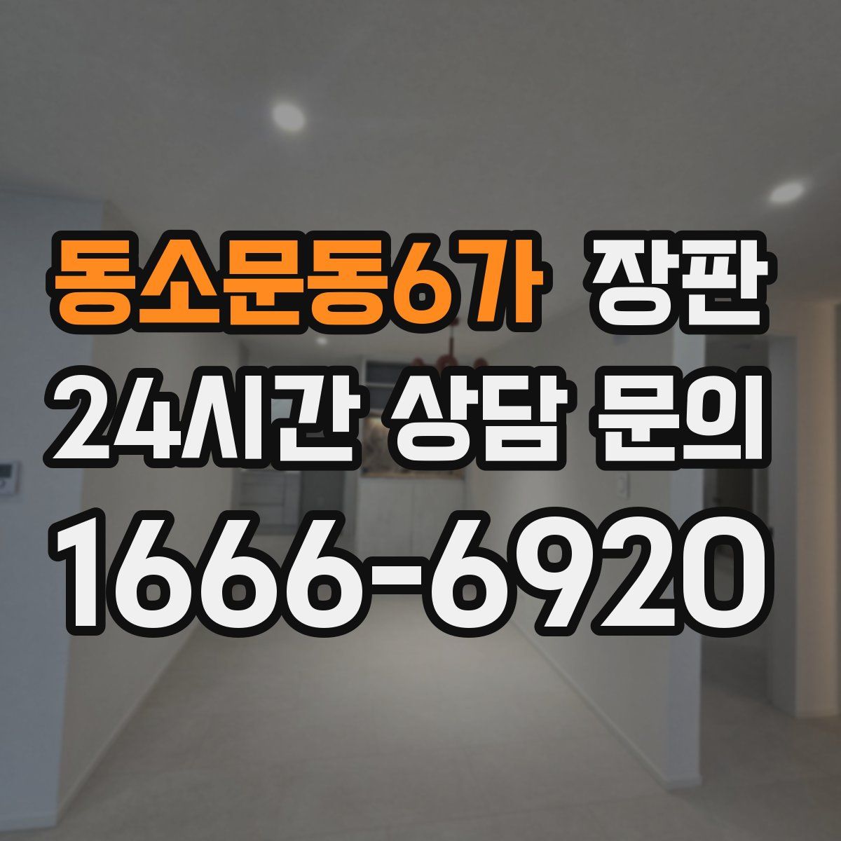 동소문동6가 장판