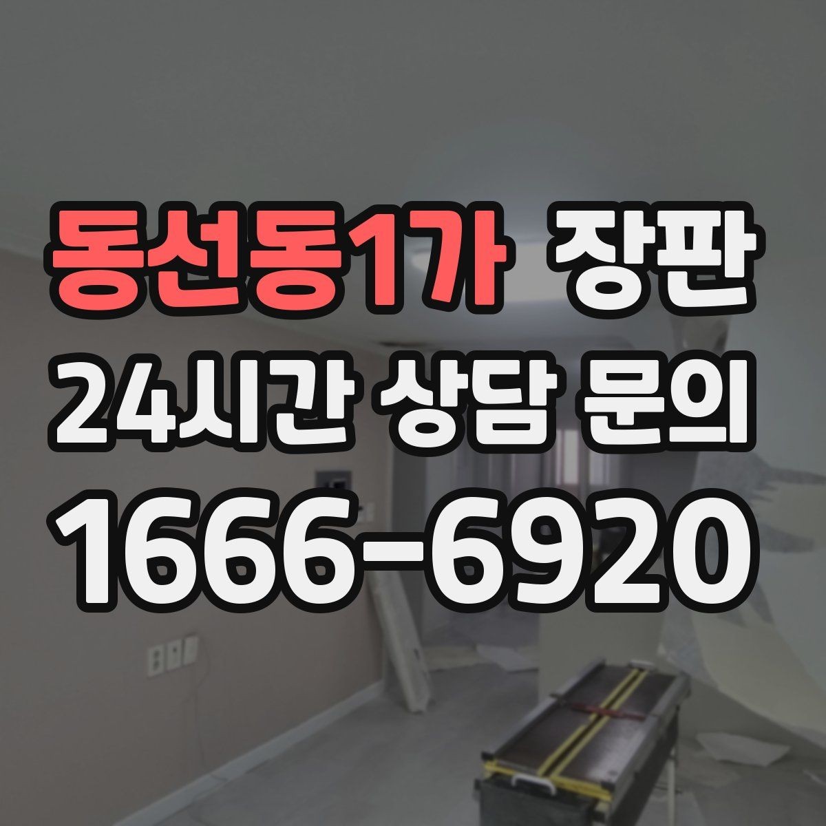 동선동1가 장판 반려동물과 함께 쓸 때 유의점