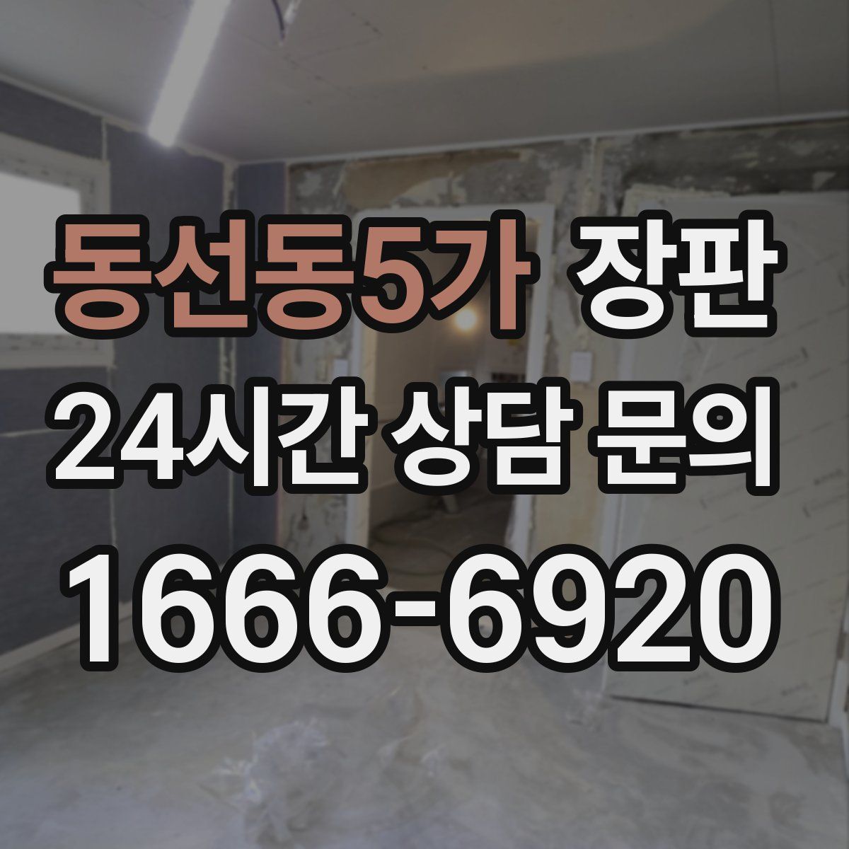 동선동5가 장판