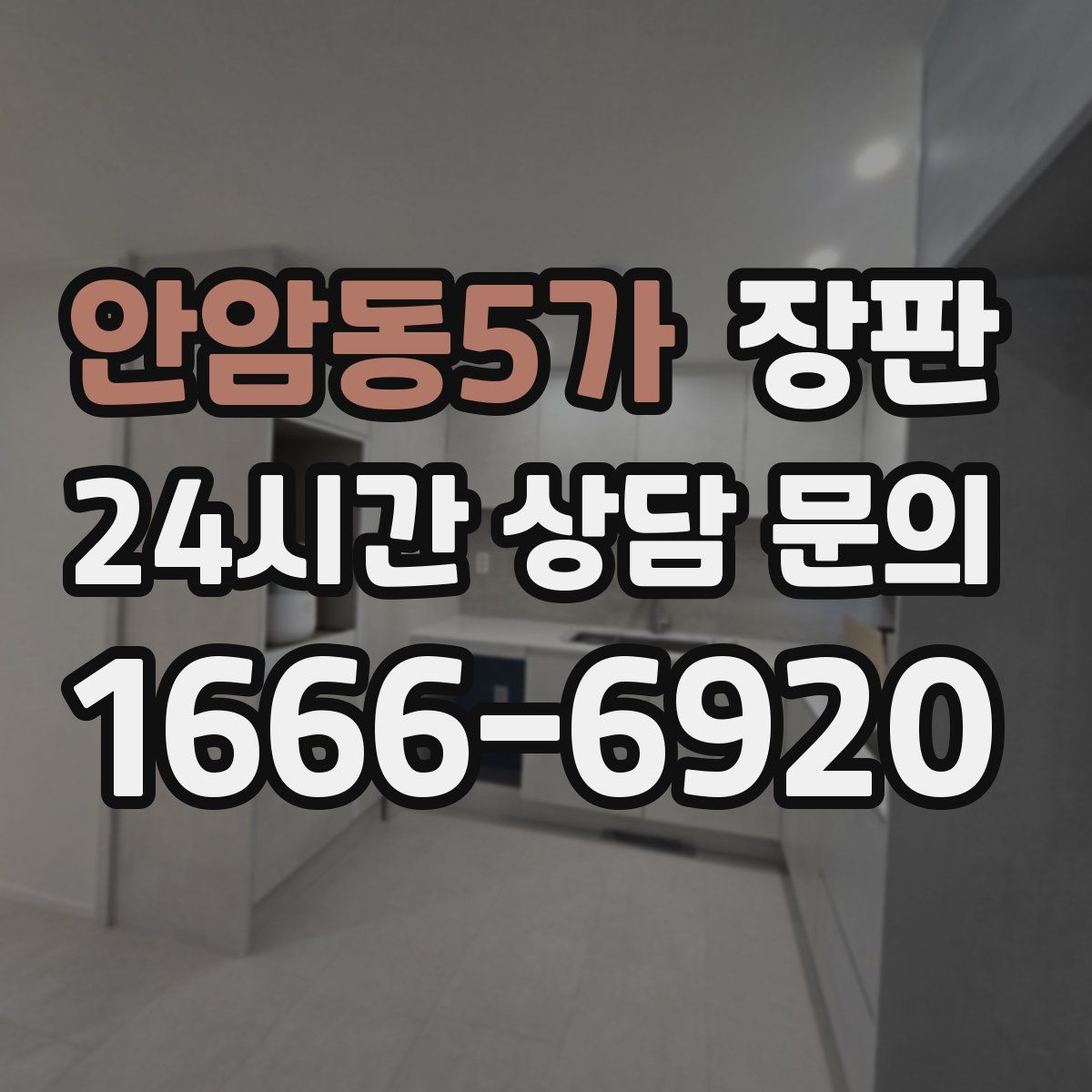 안암동5가 장판