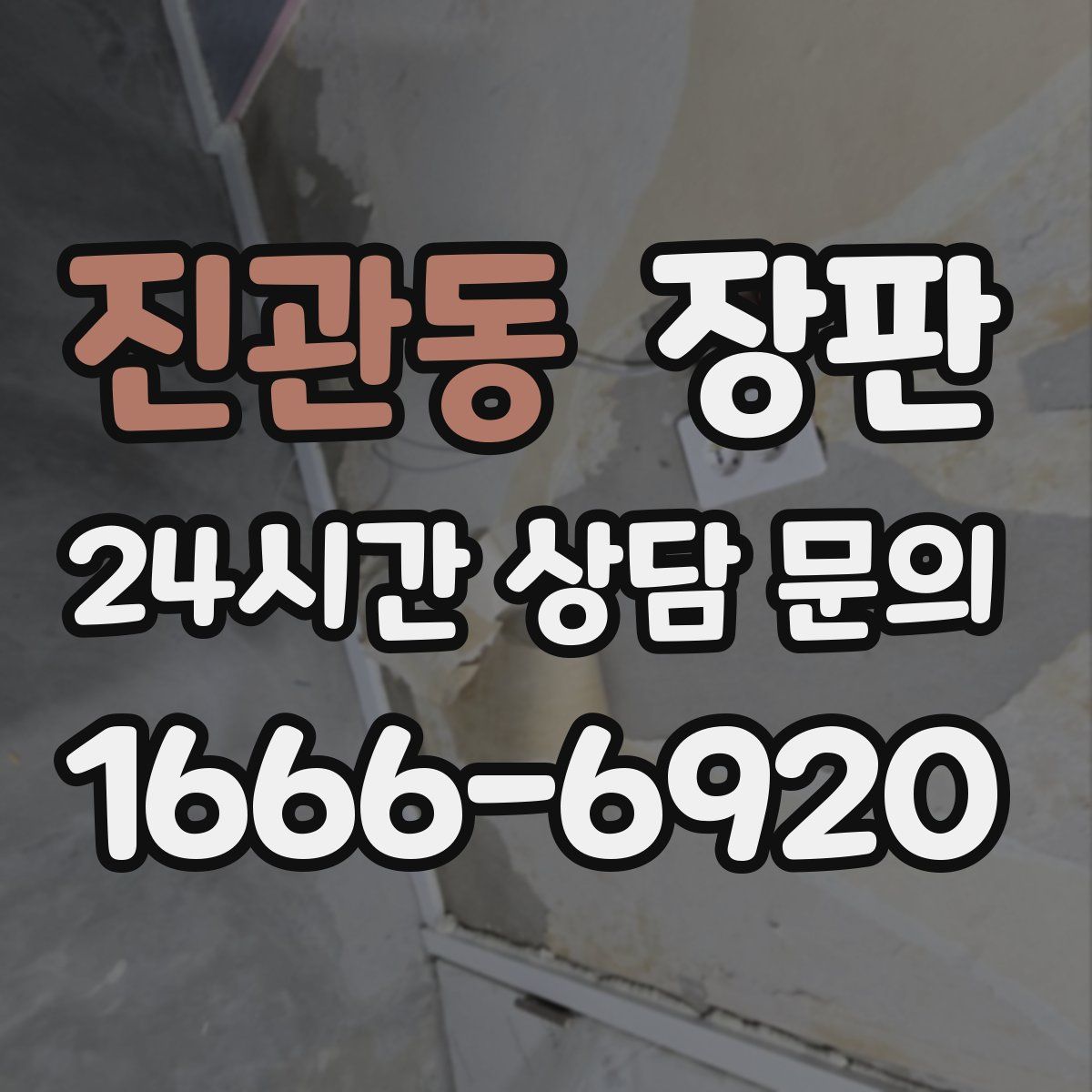 진관동 장판