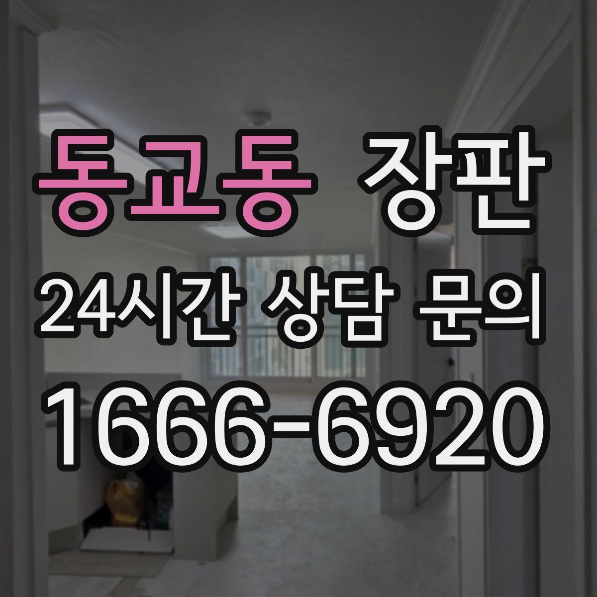 동교동 장판