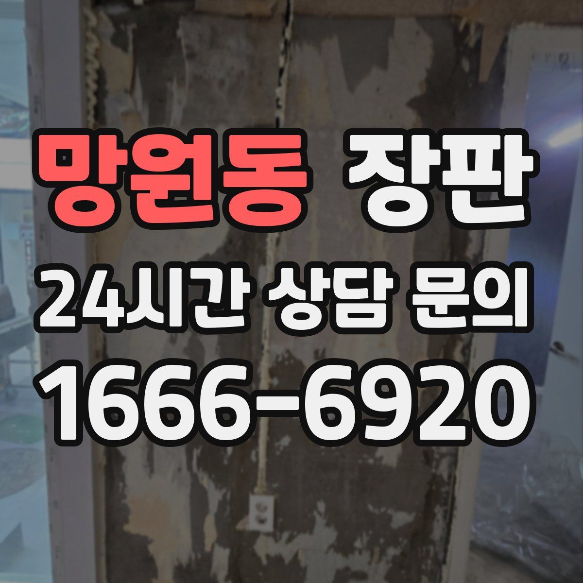 망원동 장판
