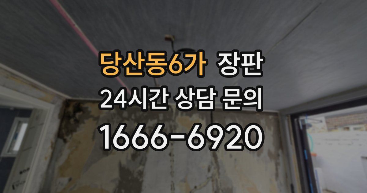 당산동6가 장판