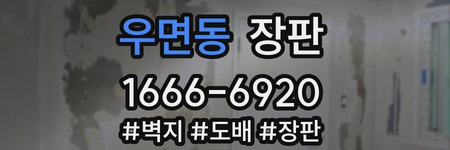 우면동 장판