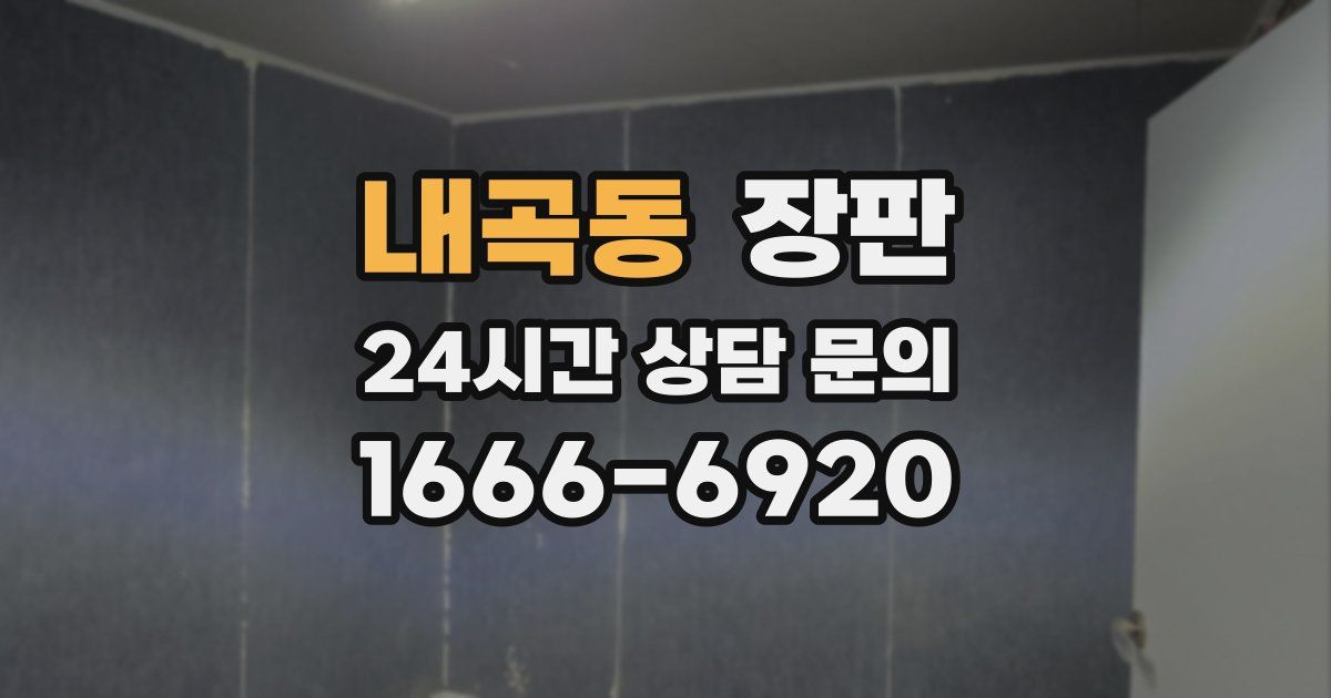 내곡동 장판
