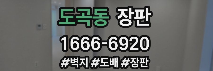 도곡동 장판