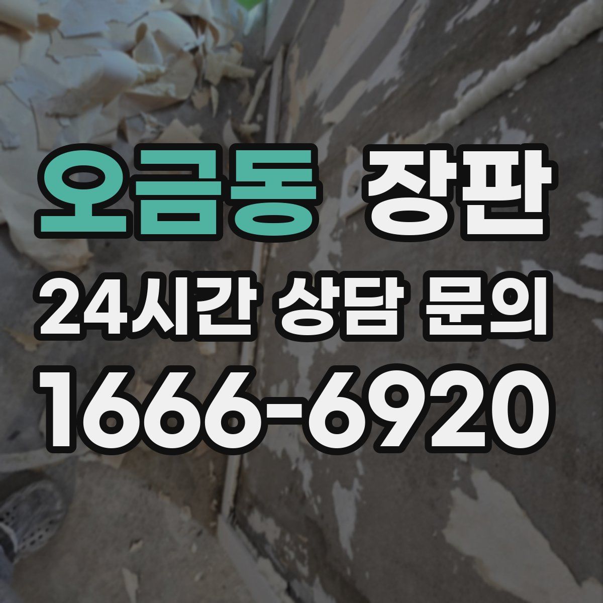 오금동 장판