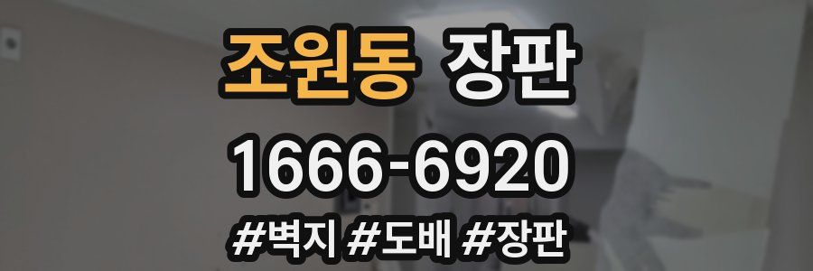 조원동 장판