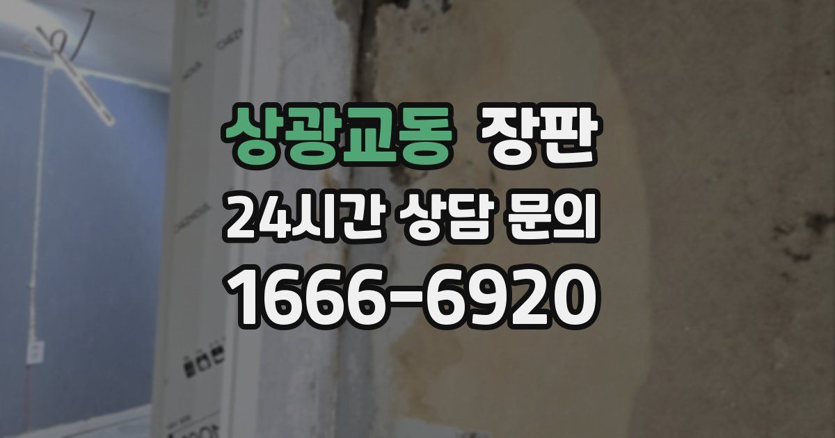 상광교동 장판