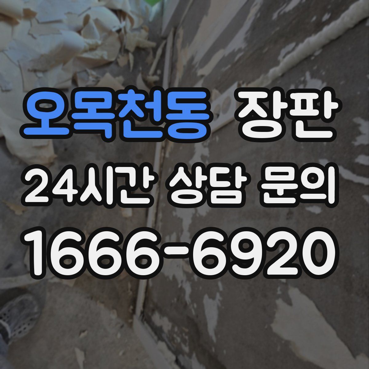 오목천동 장판