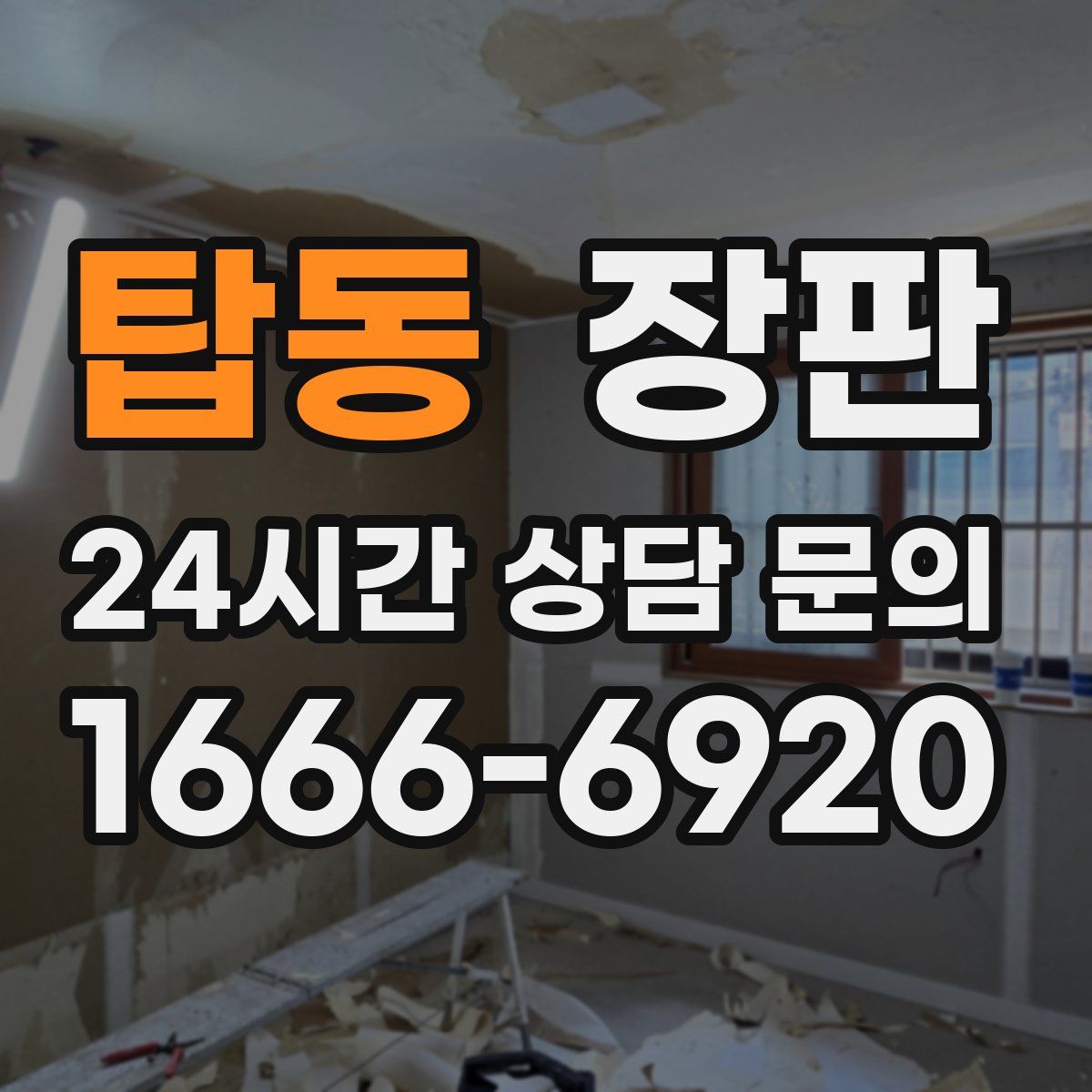 탑동 장판