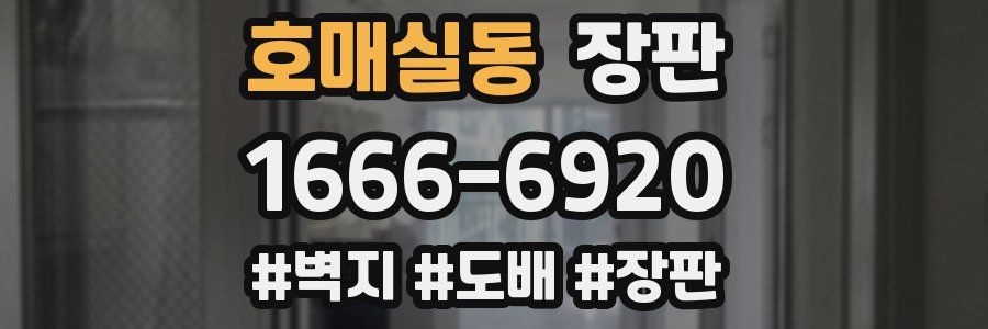 호매실동 장판