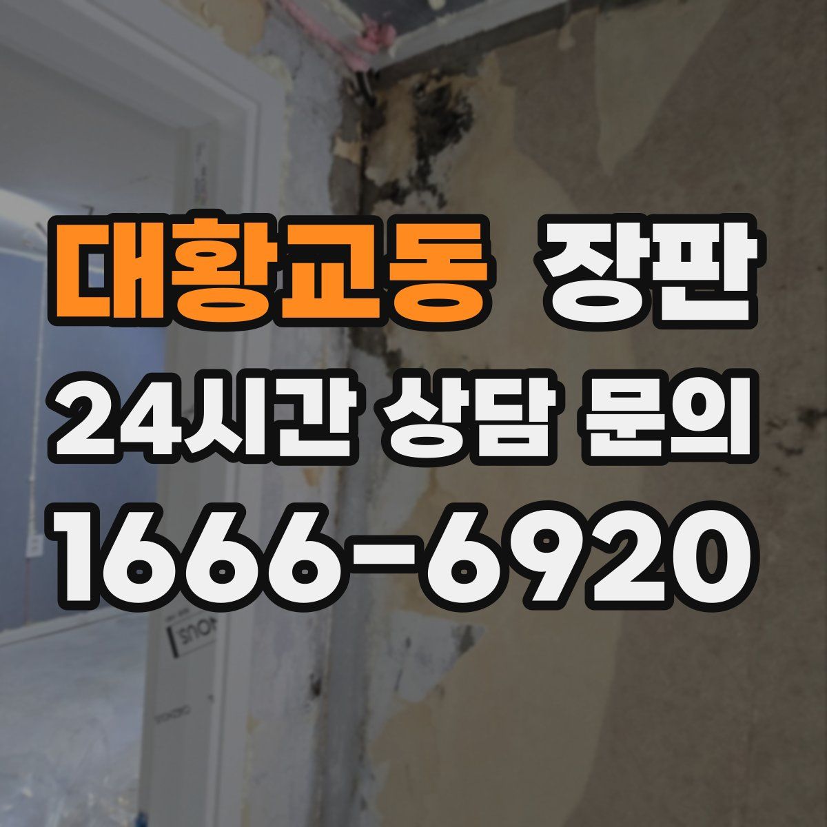 대황교동 장판