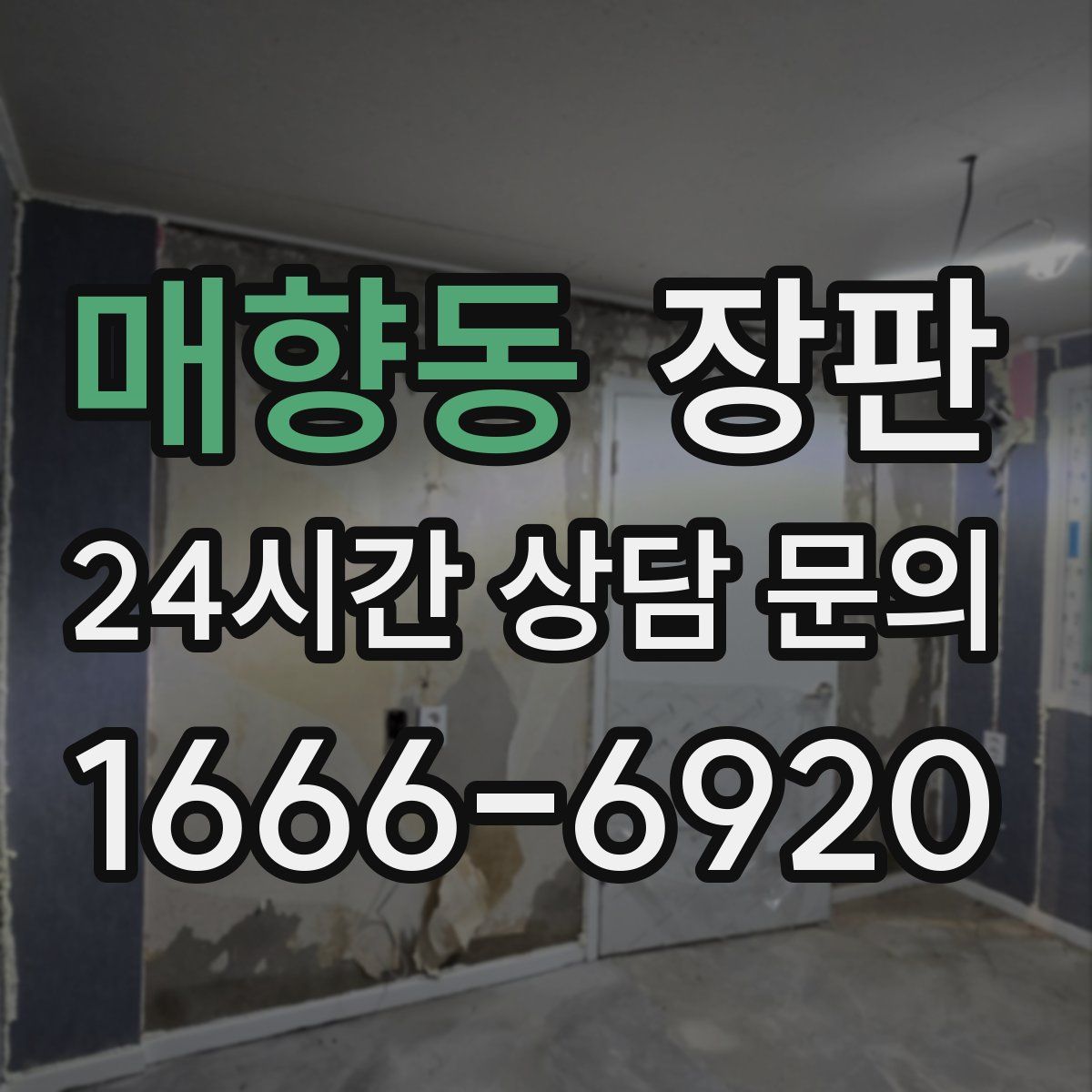매향동 장판