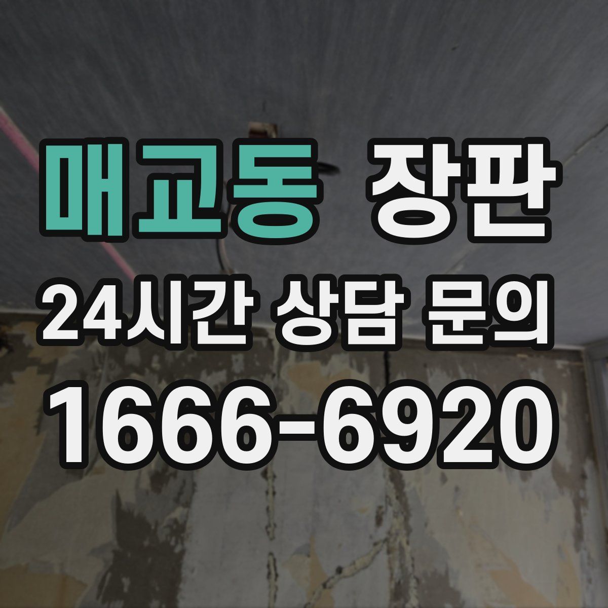 매교동 장판
