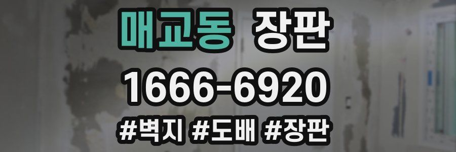 매교동 장판