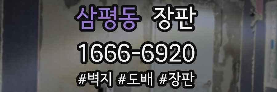 삼평동 장판