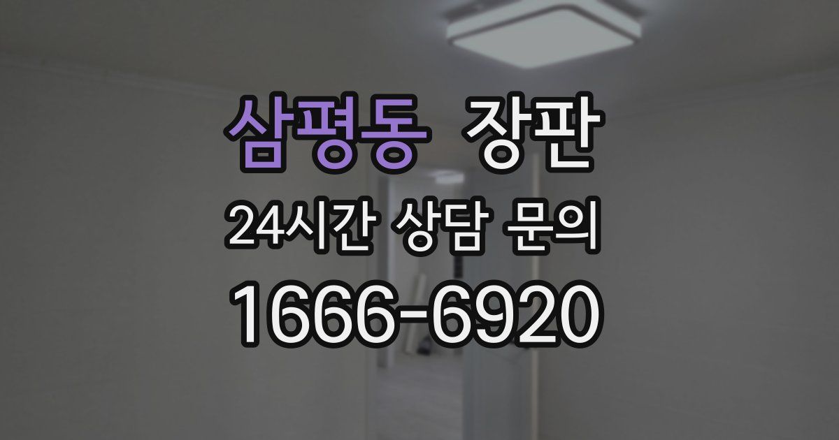 삼평동 장판