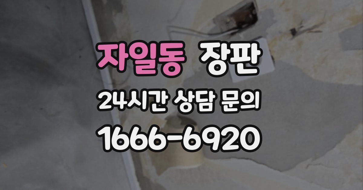 자일동 장판