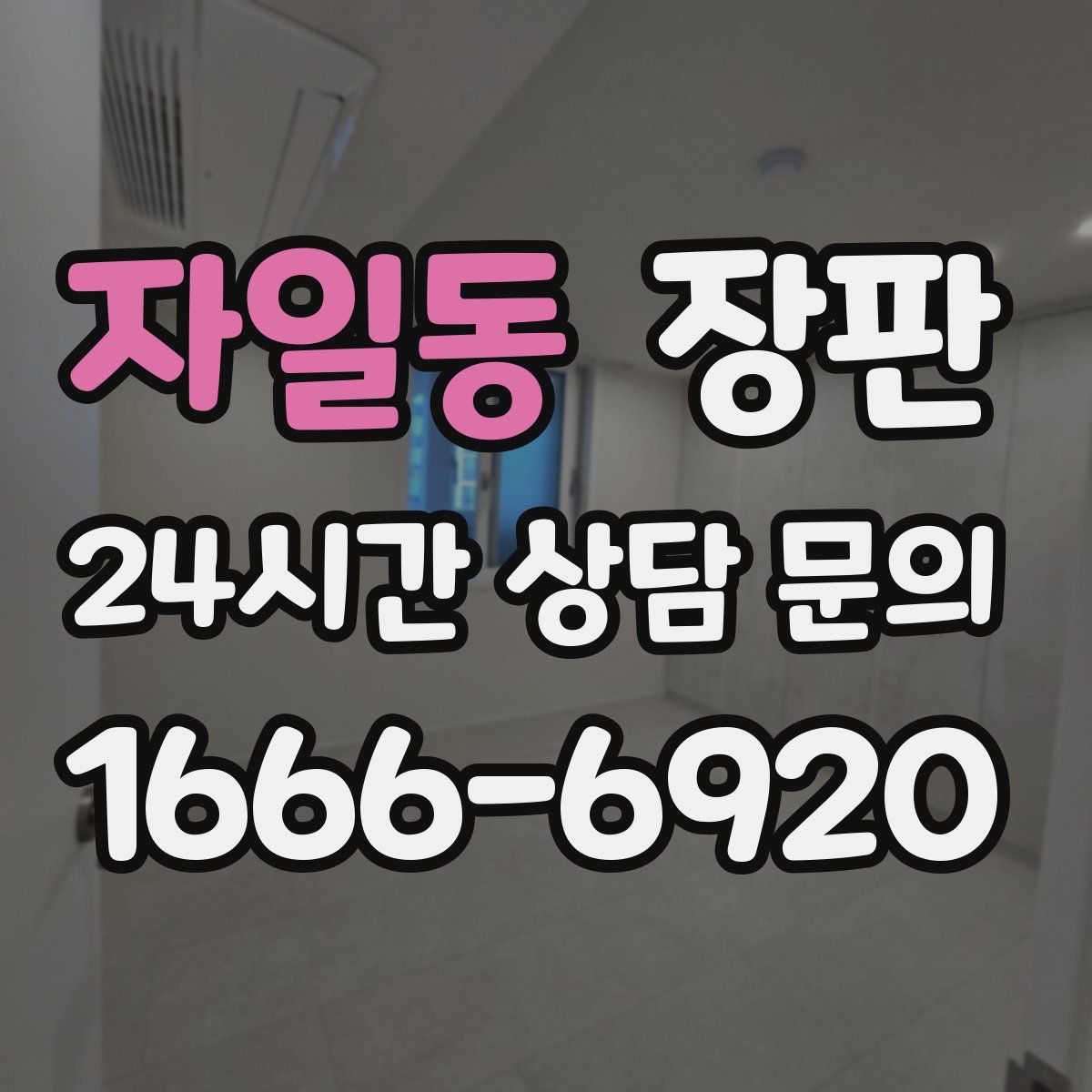 자일동 장판