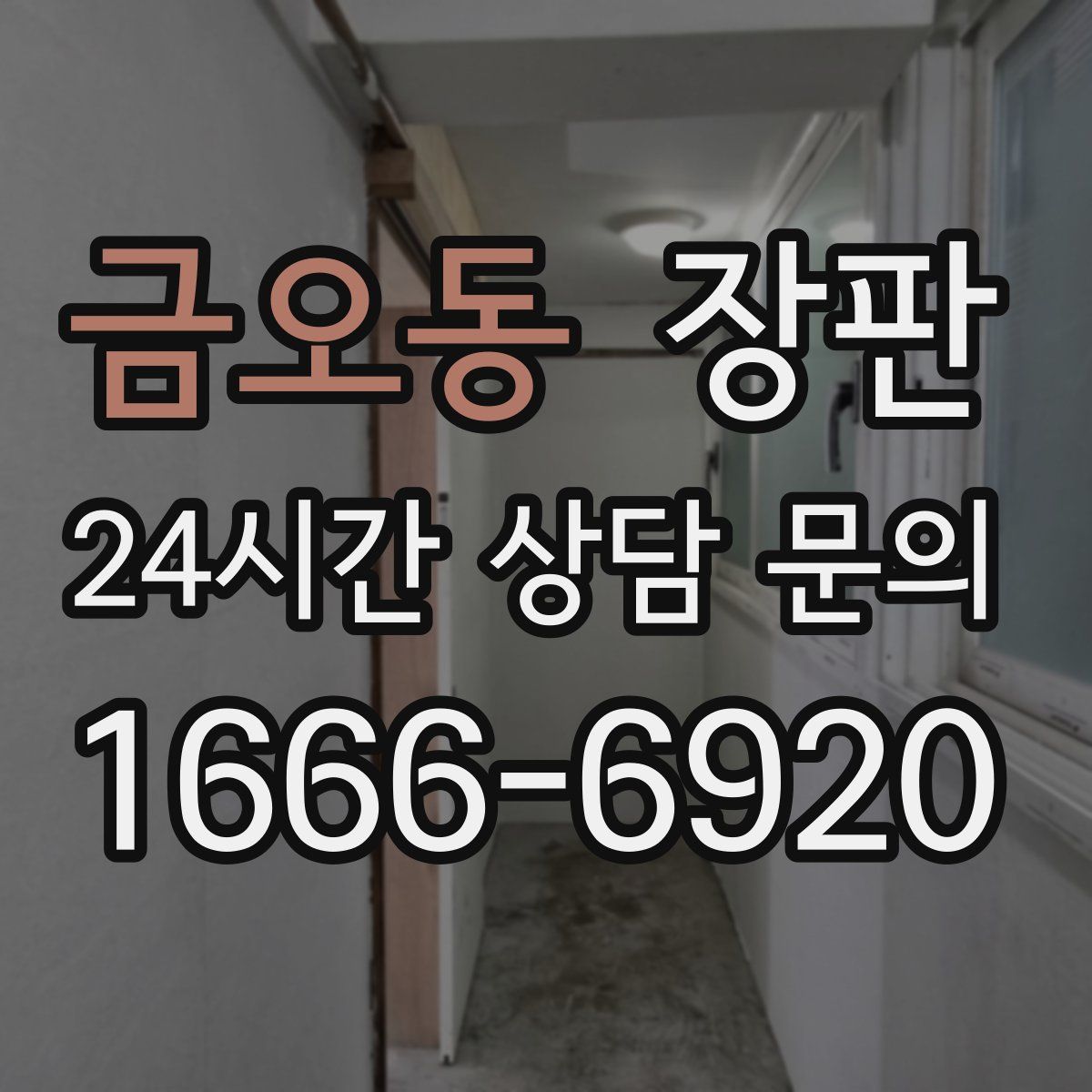 금오동 장판