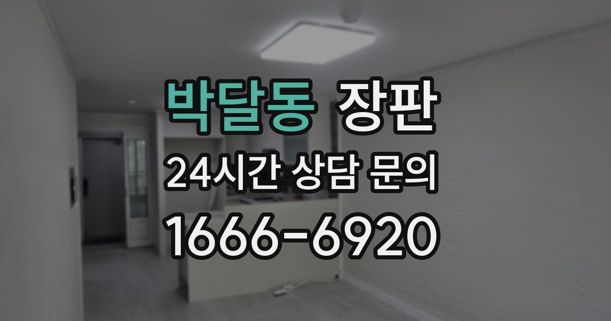 박달동 장판