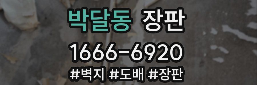 박달동 장판