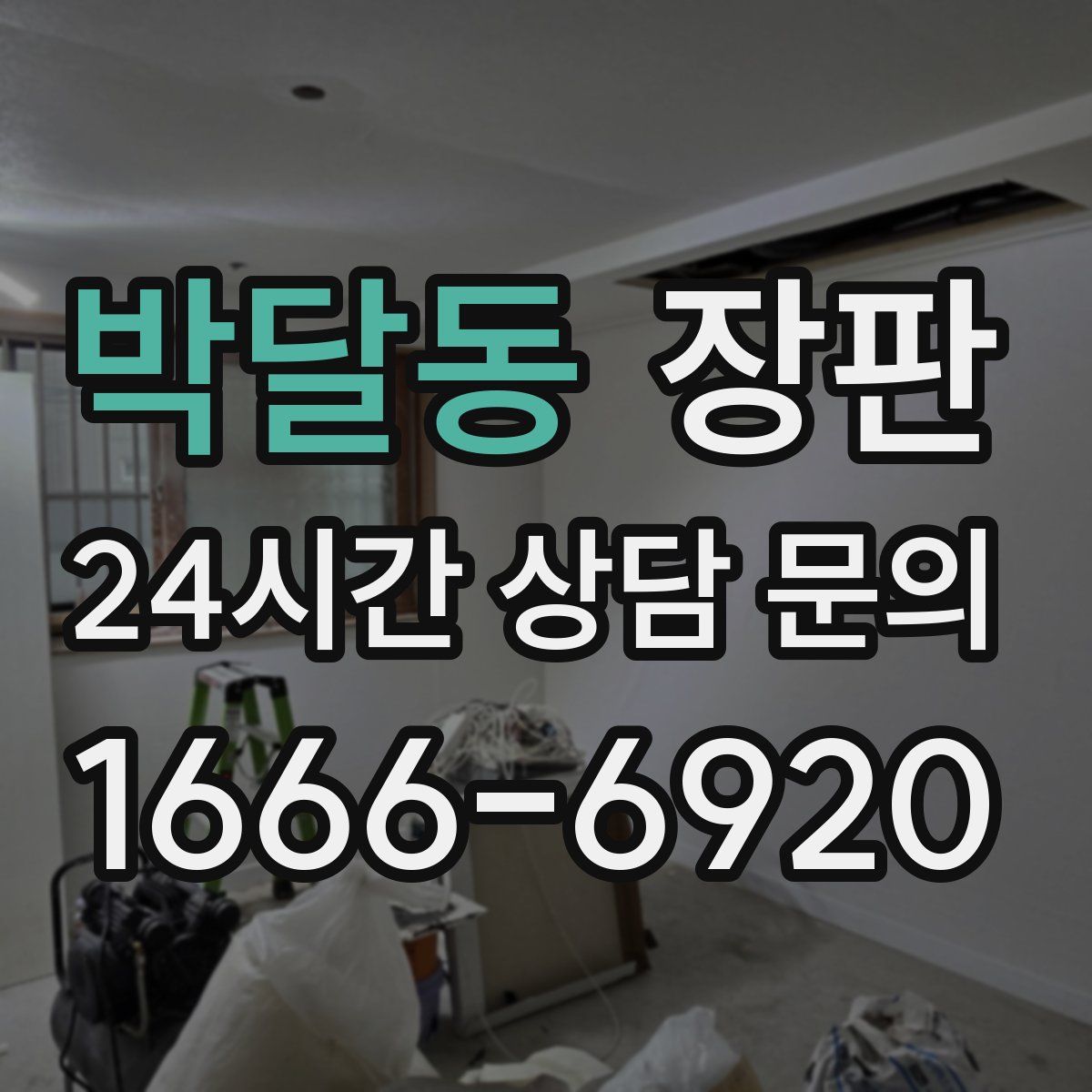 박달동 장판