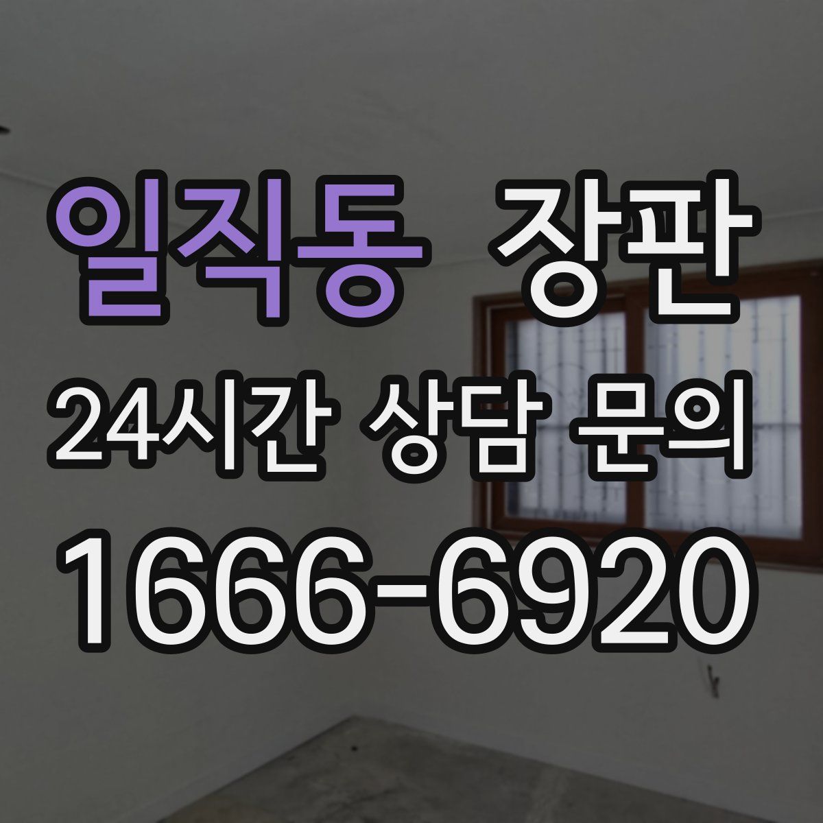 일직동 장판