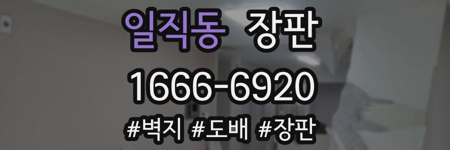 일직동 장판