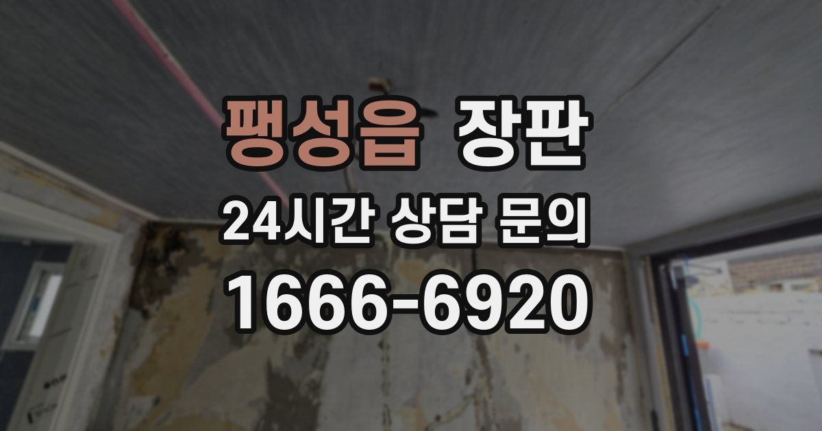 팽성읍 장판