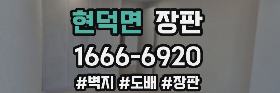 현덕면 장판