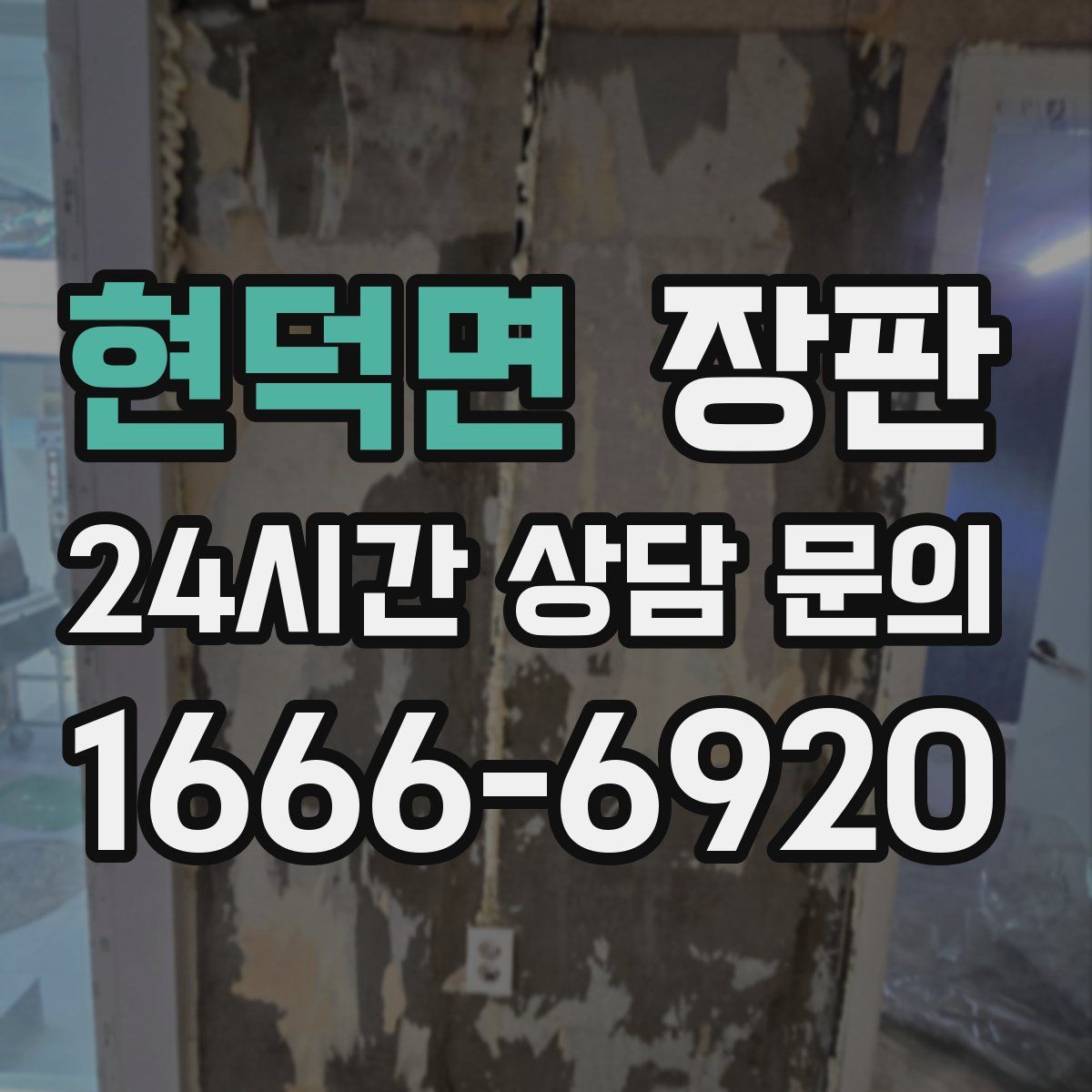 현덕면 장판
