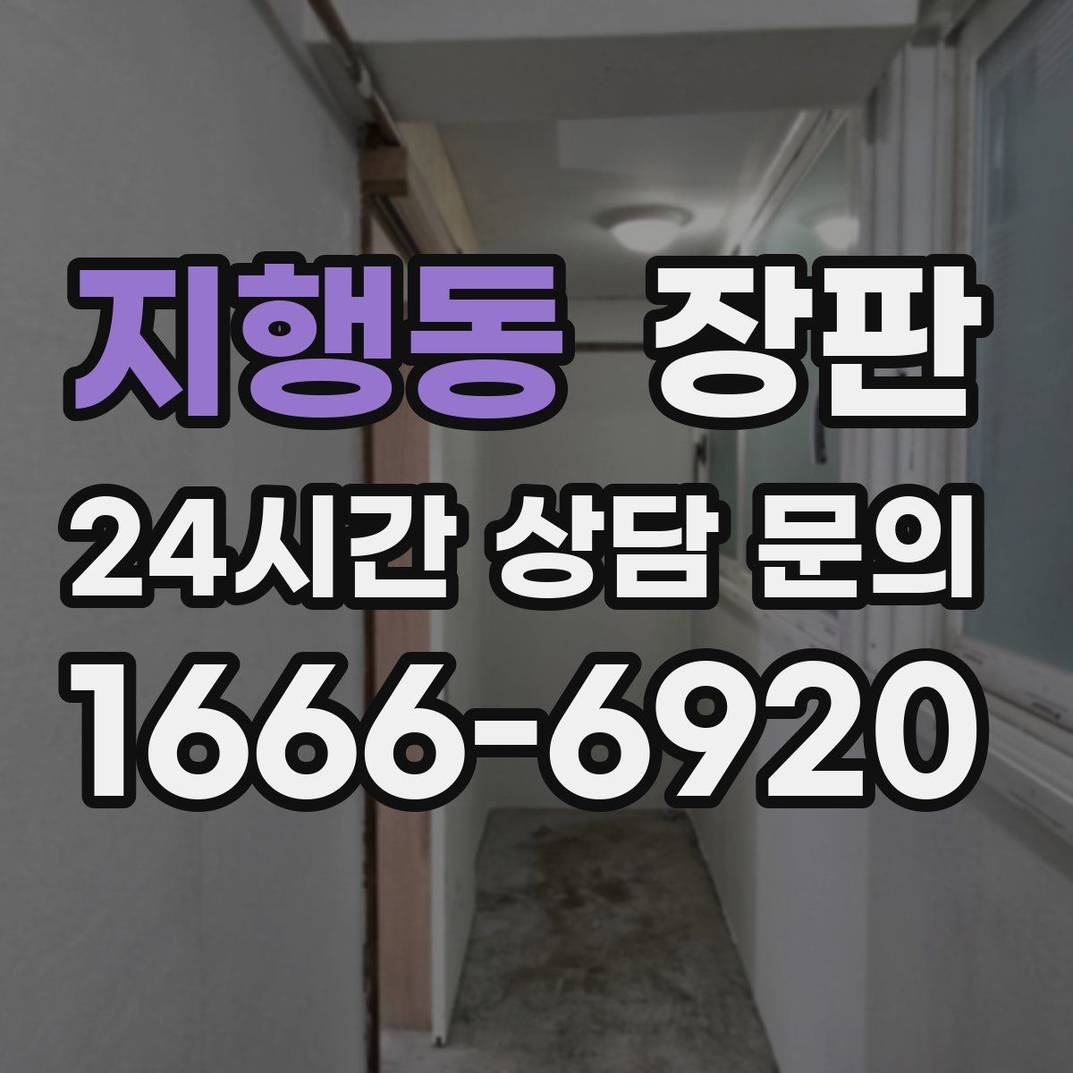 지행동 장판