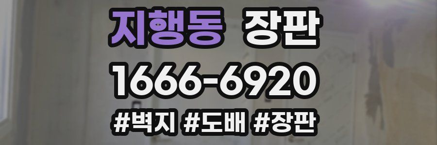 지행동 장판