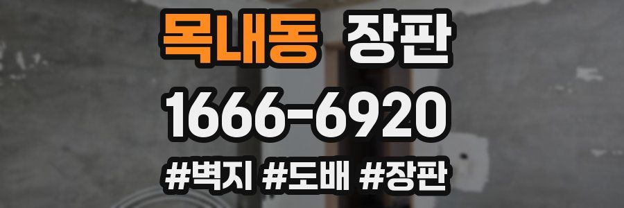 목내동 장판