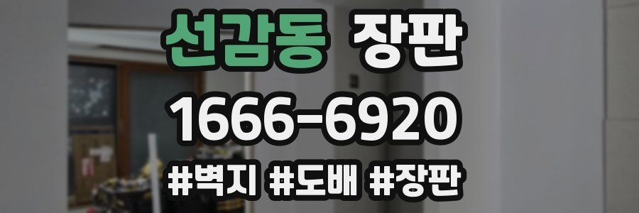 선감동 장판