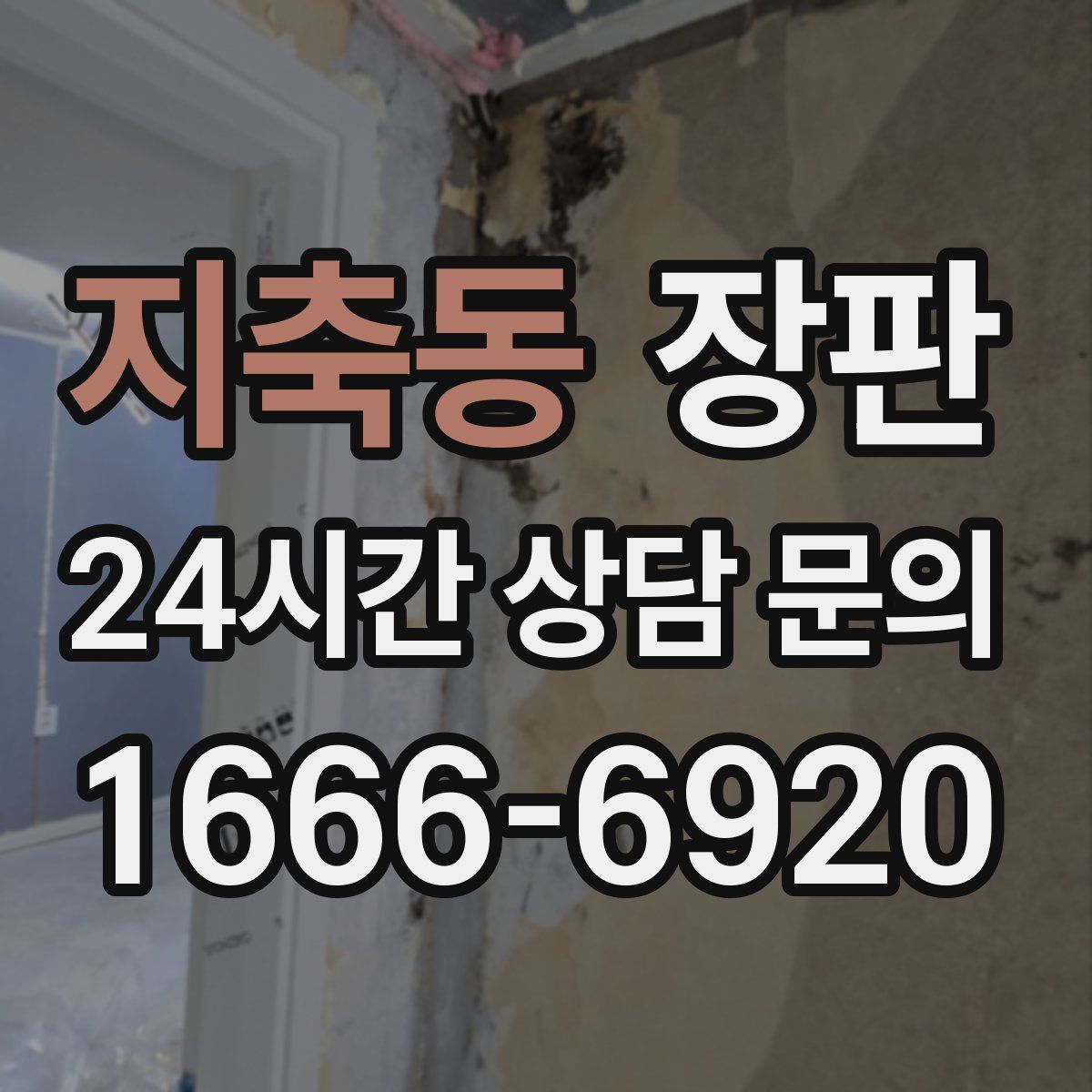 지축동 장판