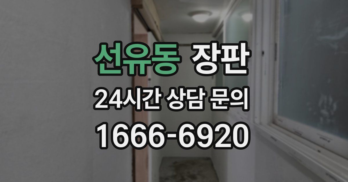 선유동 장판