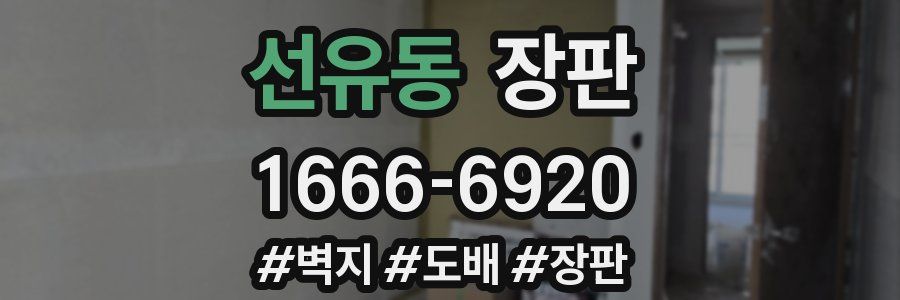 선유동 장판