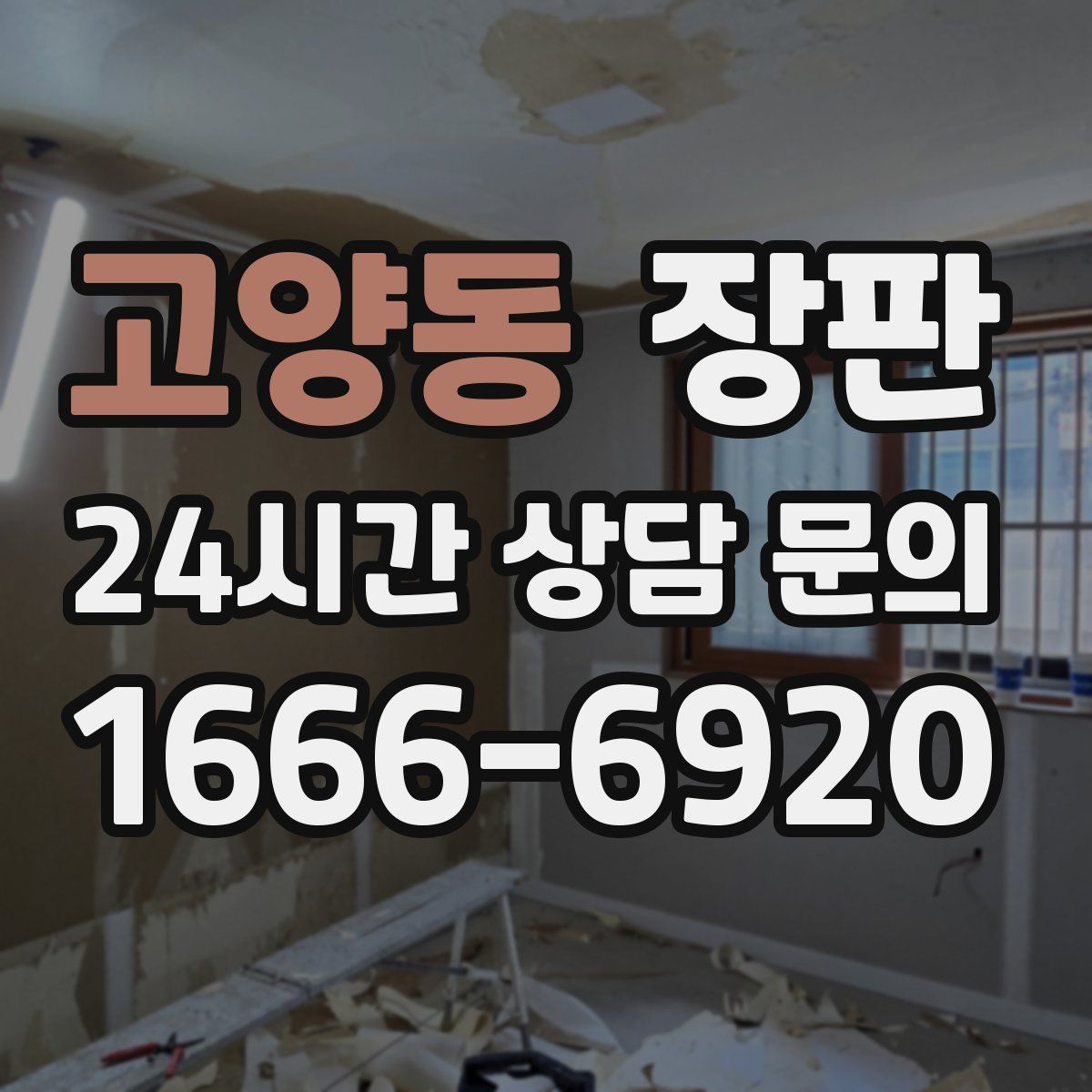 고양동 장판