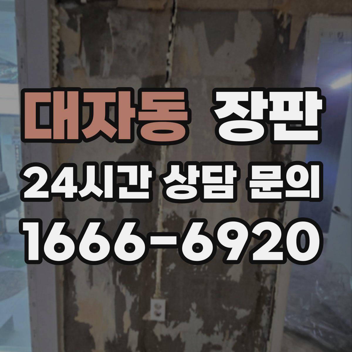 대자동 장판