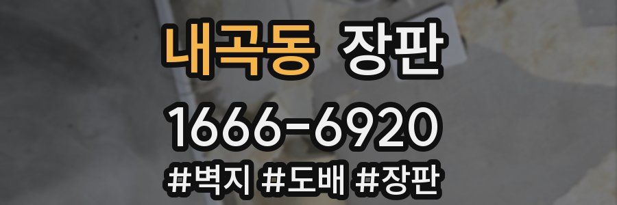 내곡동 장판