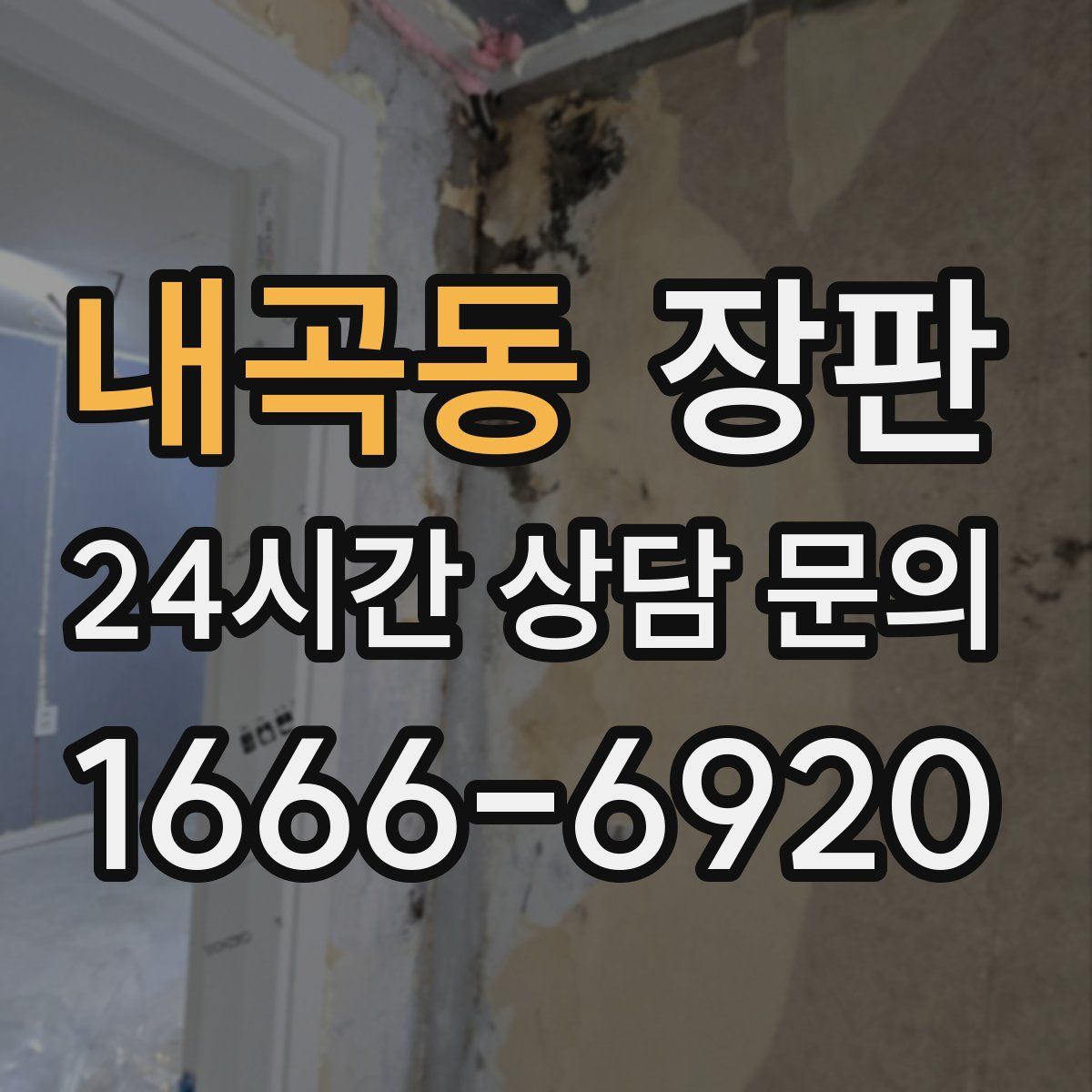 내곡동 장판