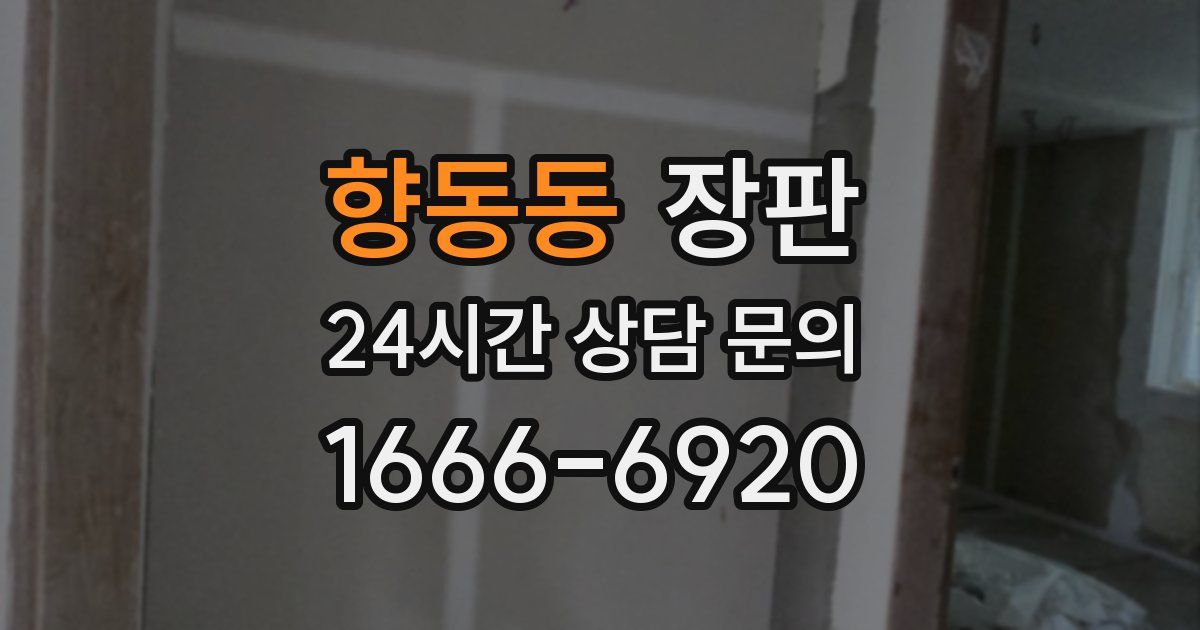 향동동 장판