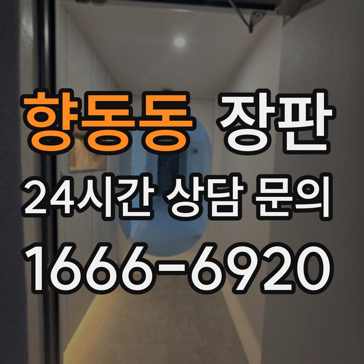 향동동 장판