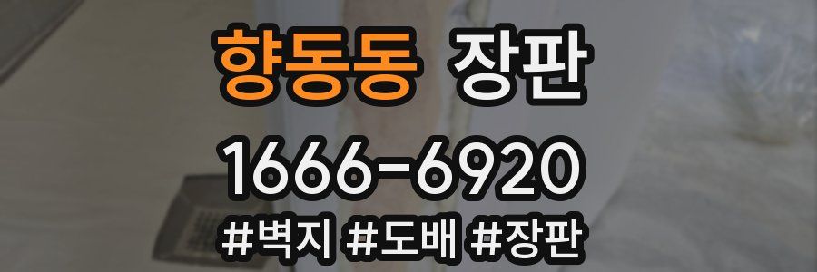 향동동 장판