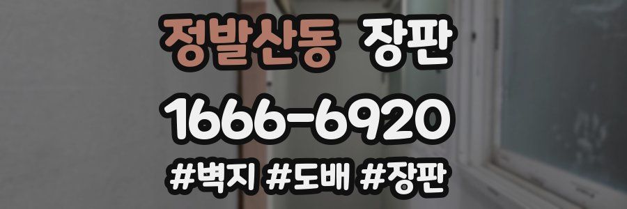 정발산동 장판