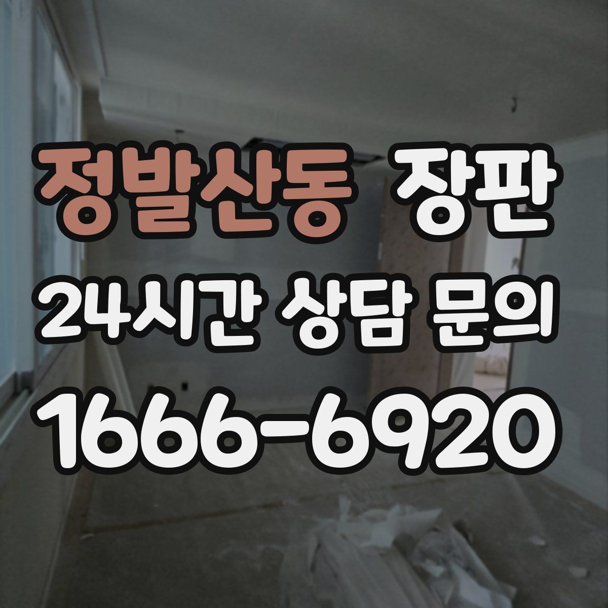 정발산동 장판
